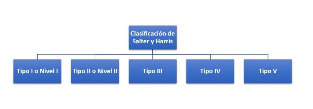 Clasificación de Salter y Harris