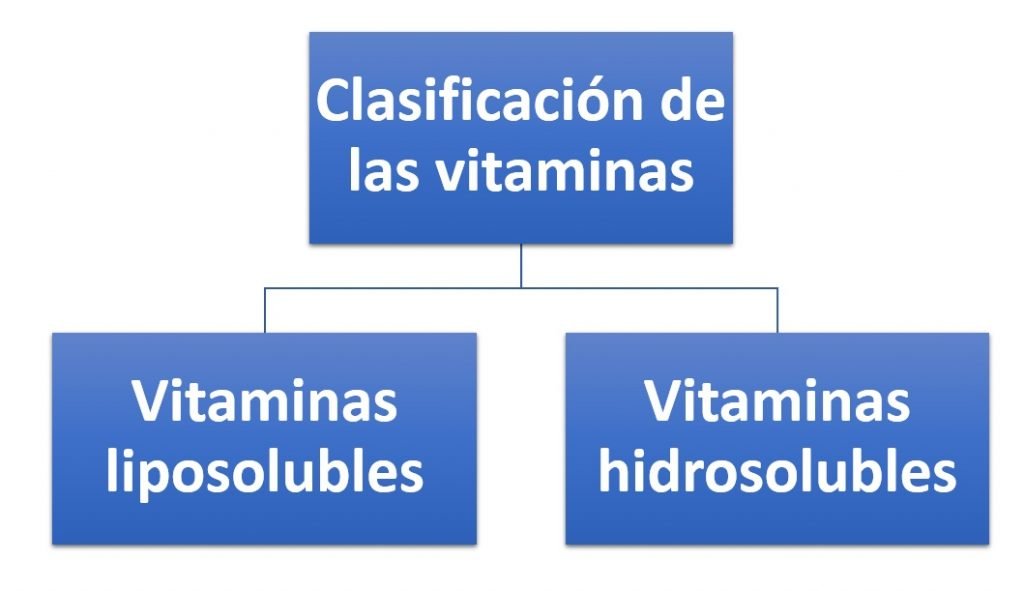 Clasificación de las vitaminas