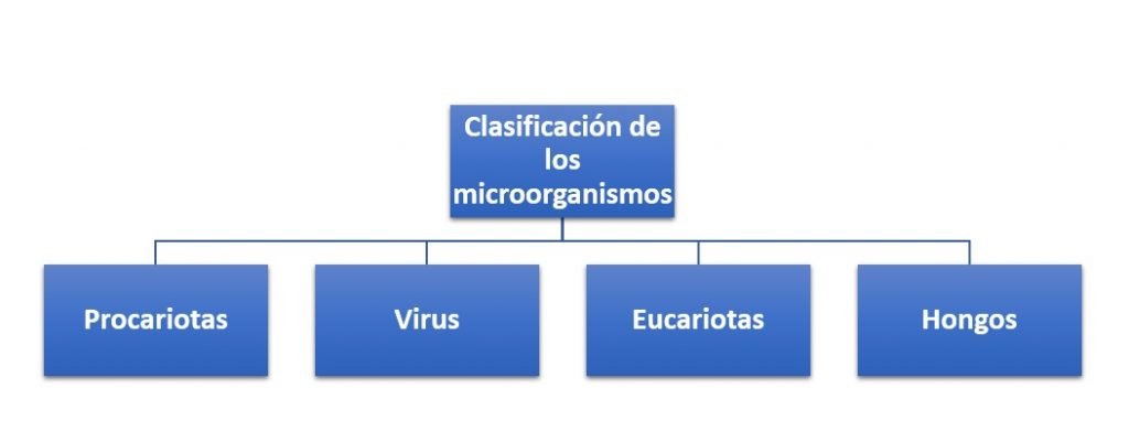 Clasificación de los microorganismos