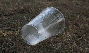 Vaso plastico