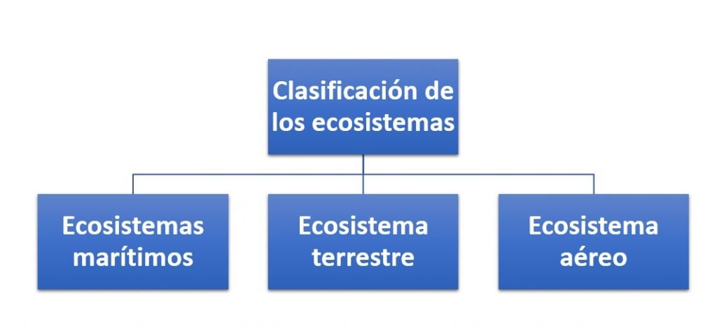 Clasificación de los ecosistemas