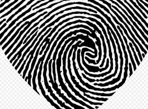 Tipos de identidad etaria