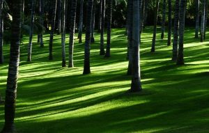 Tipos de iluminación