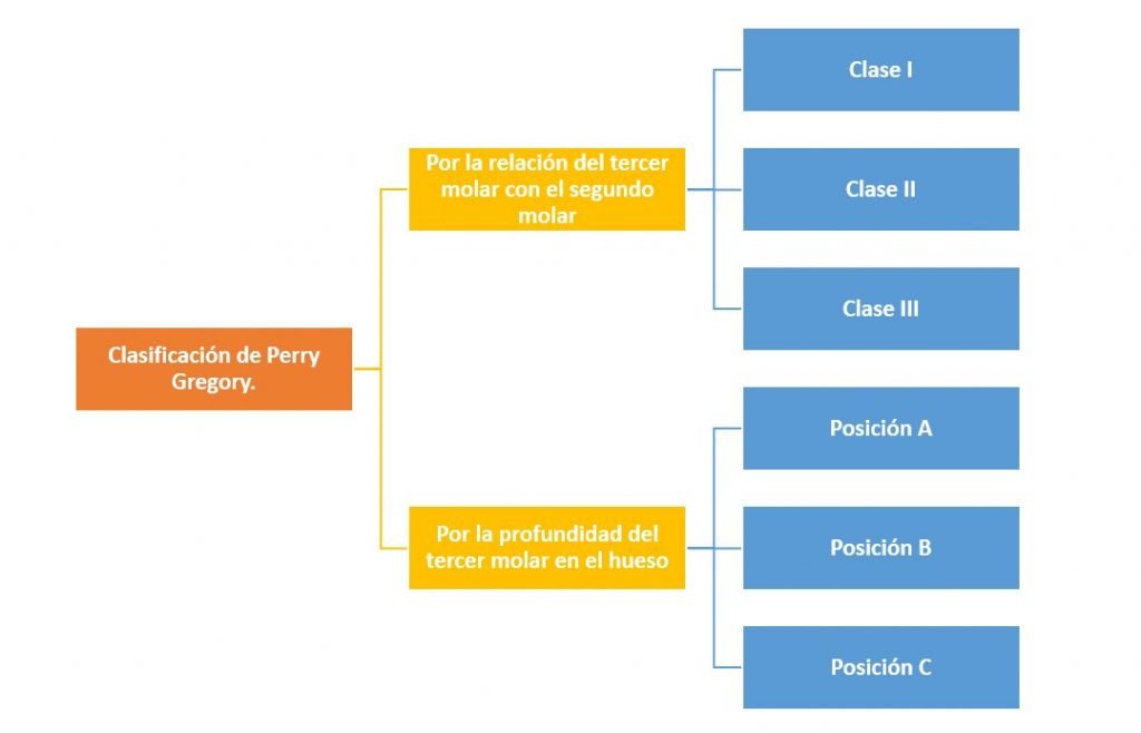Clasificación de Perry Gregory.