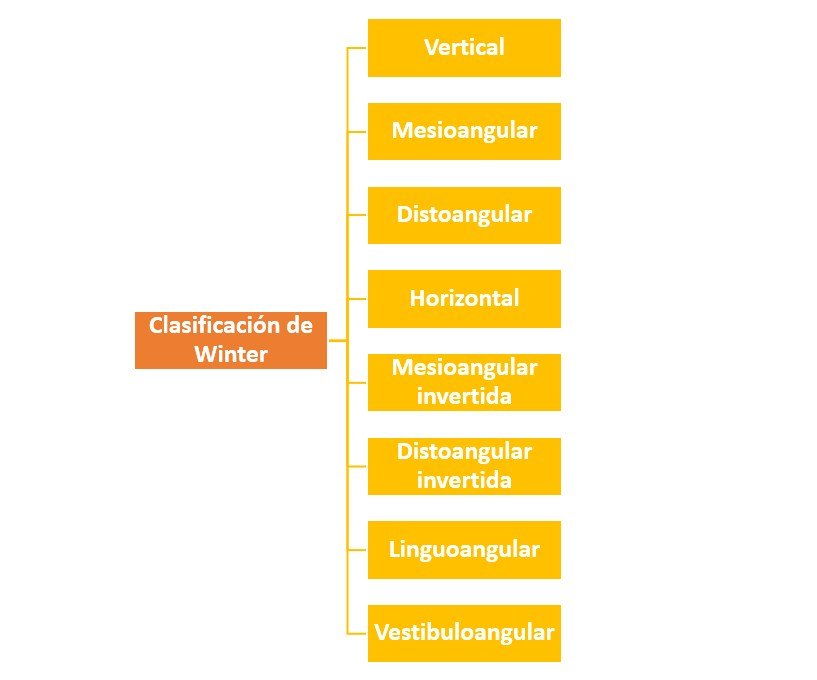 Clasificación de Winter