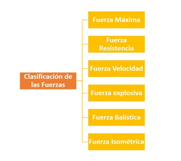 Clasificación De Fuerzas ¿cómo Se Clasifican