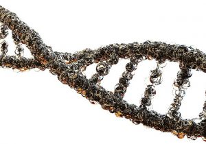 Tipos de ADN