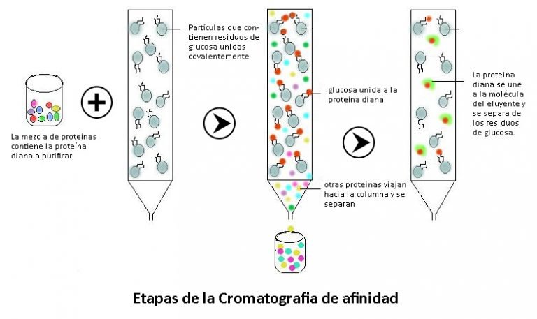 Cuales Son Los Tipos De Cromatografia