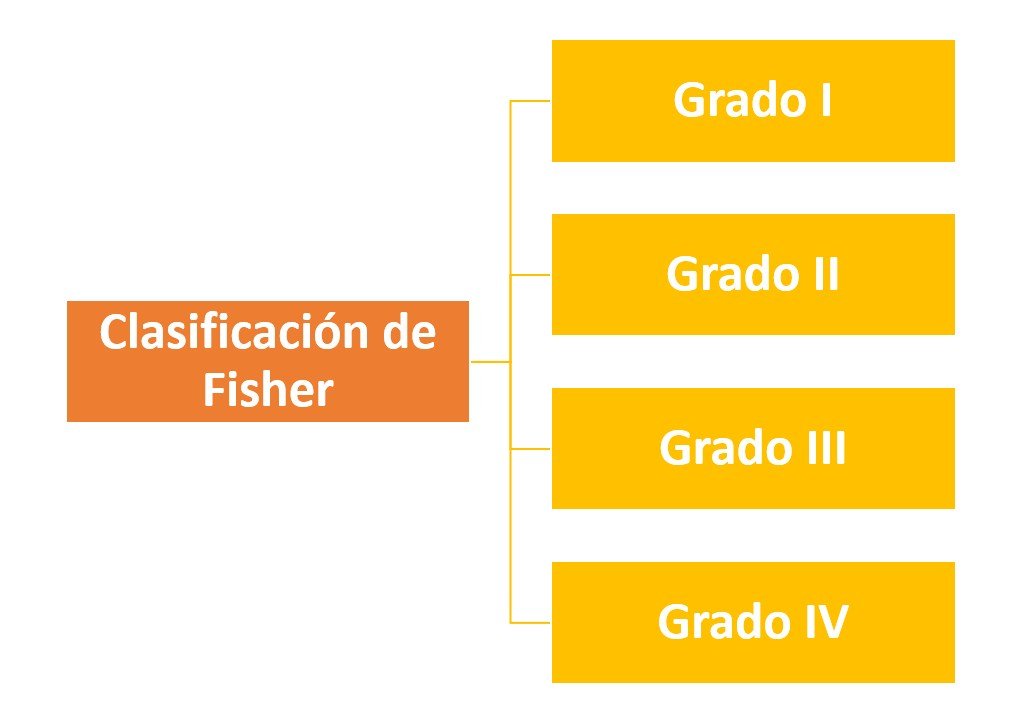 Clasificación de Fisher