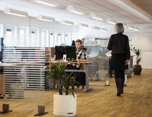 Clasificación de las empresas