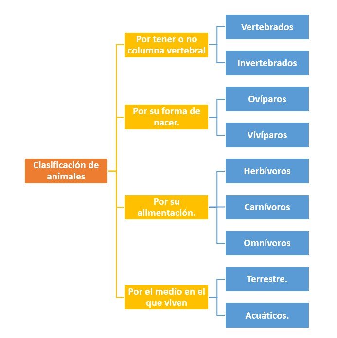 ClasificaciÃ³n de animales