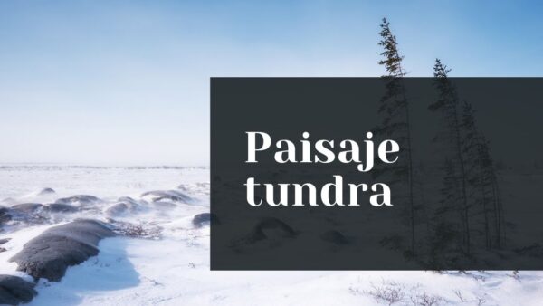 Paisaje de Tundra y Páramos