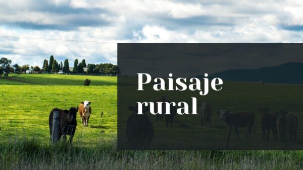 Paisaje Rural