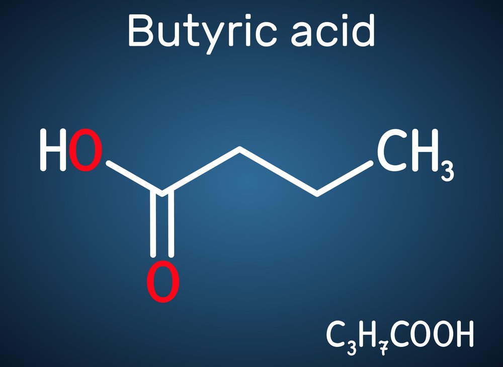 ácido butirico ejemplos de ácidos grasos