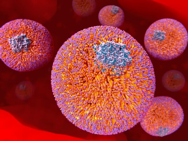 11 Ejemplos De Proteínas Estructurales ¿Cómo se clasifican?