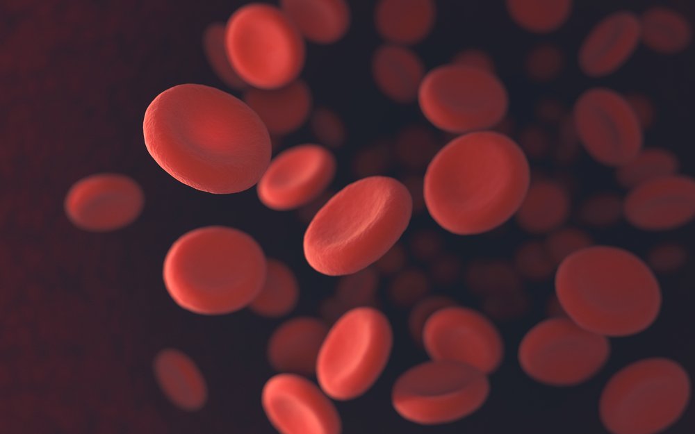  Ejemplos De Proteínas Globulares