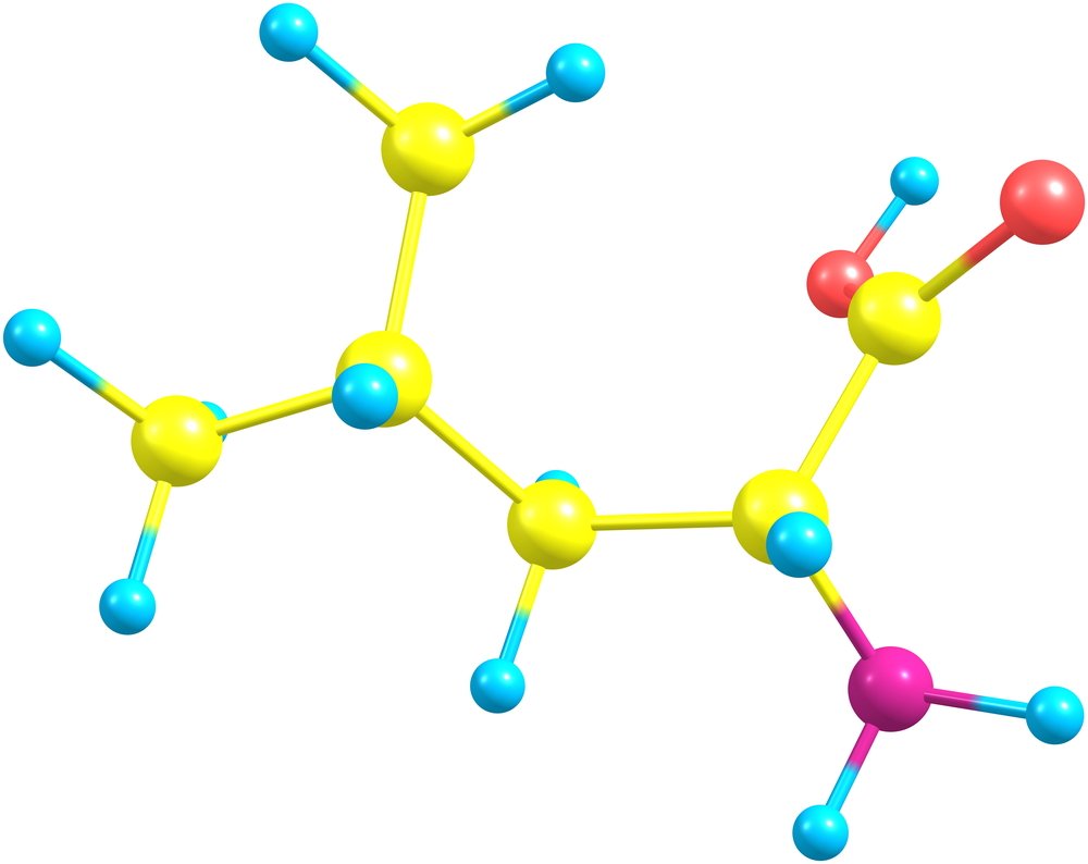 Glucoesfingolípidos Ejemplos De Glucolípidos