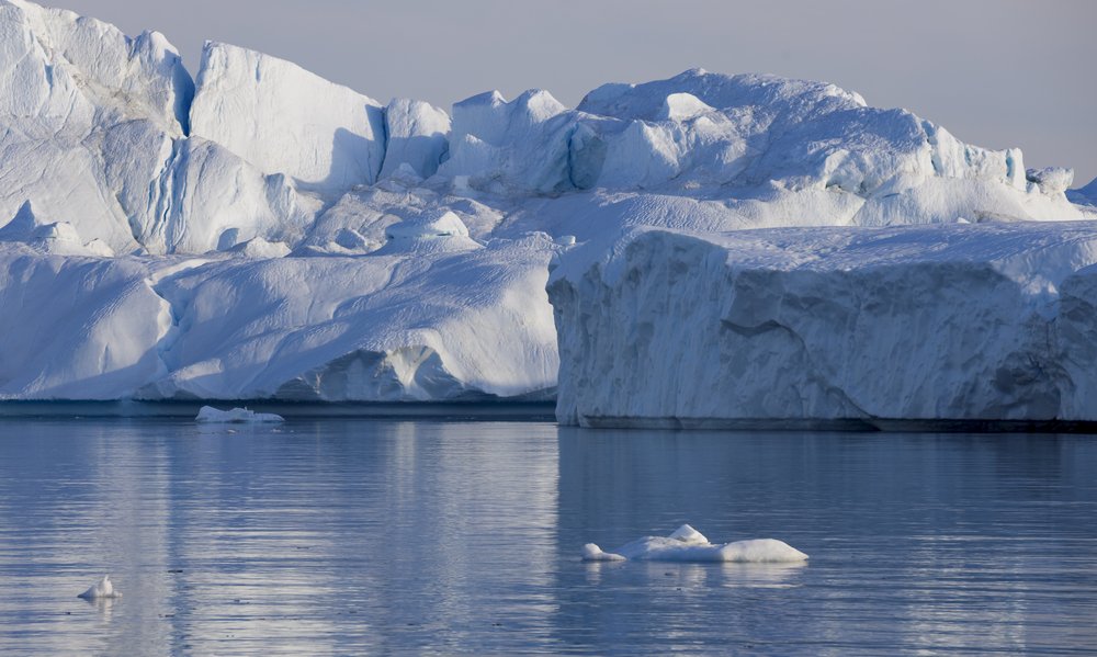 ecosistemas polar ejemplos de ecosistemas
