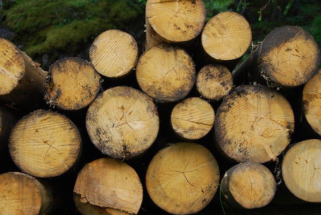 leña Ejemplos De Biomasa