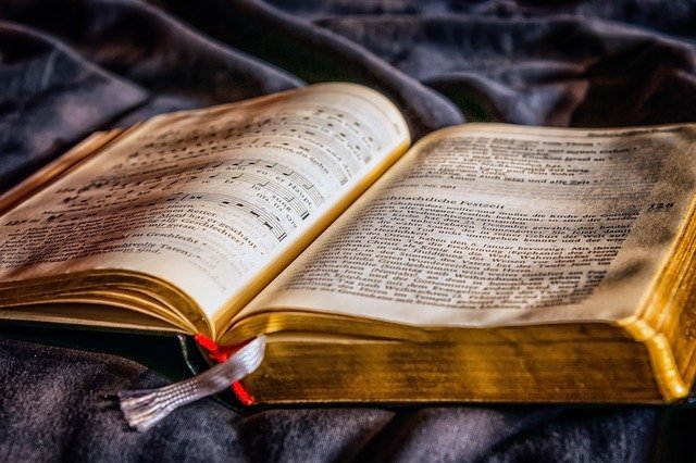 Ejemplos De Textos Introductorios