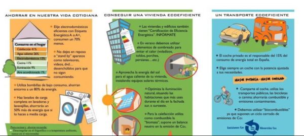 Ejemplos de folletos para niños