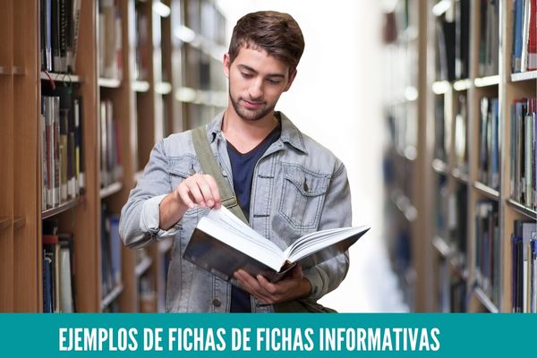 Ejemplos de fichas Informativas
