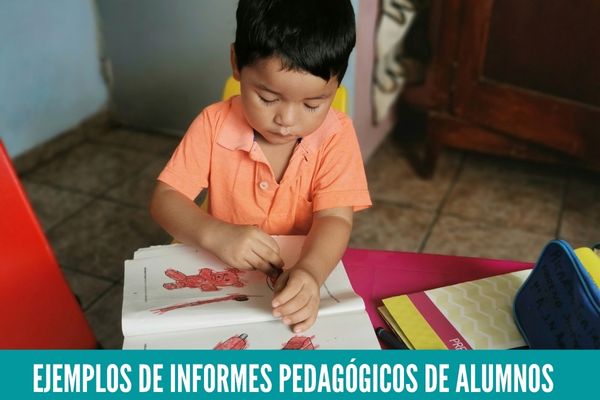 Ejemplos de Informes pedagógicos de Alumnos