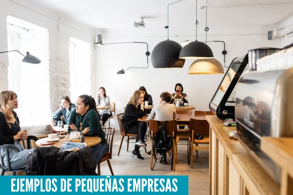 30-ejemplos-de-peque-as-empresas-c-mo-se-clasifican