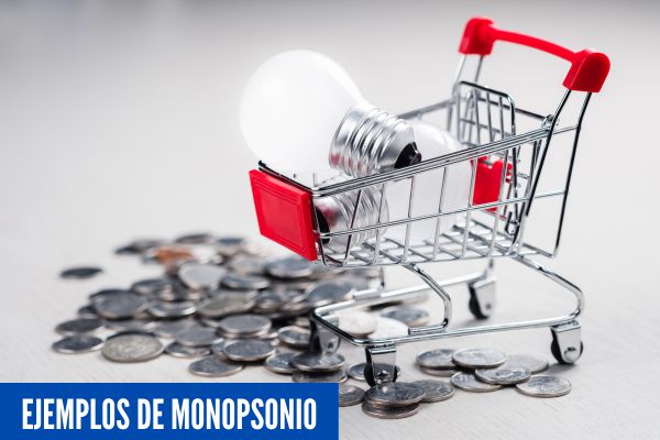 Ejemplos de Monopsonio