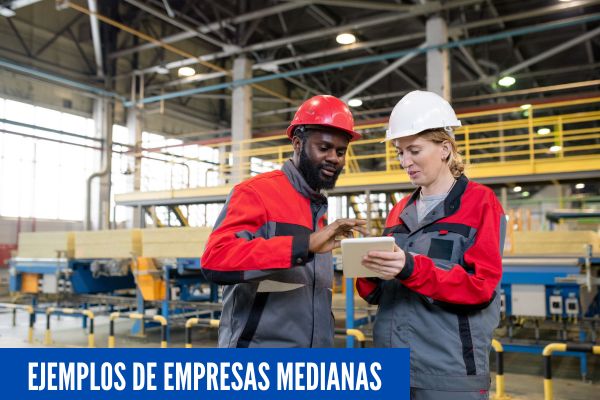 Ejemplos de empresas medianas