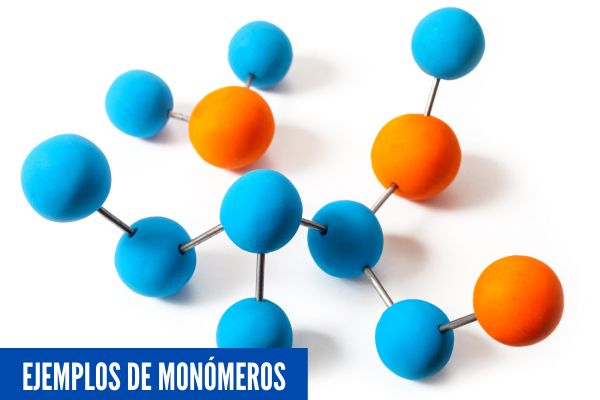 Ejemplos de monómeros