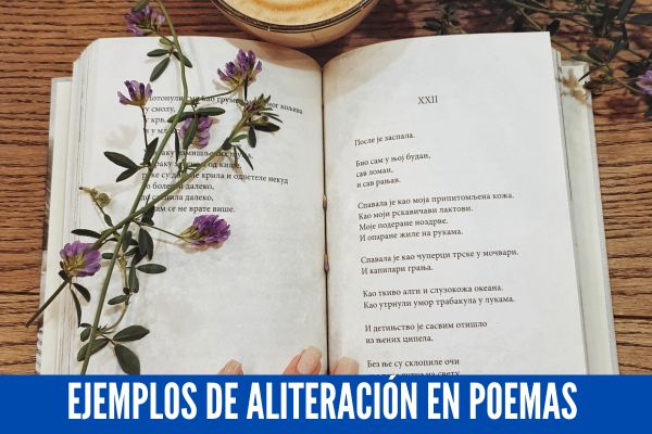 Ejemplos de Aliteración en Poemas