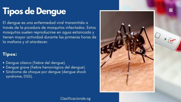 Tipos de dengue