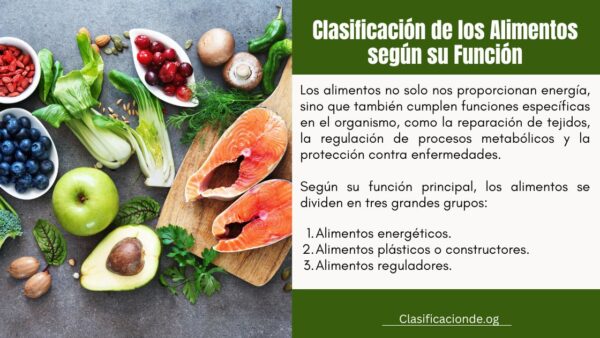 Clasificación de los Alimentos según su Función