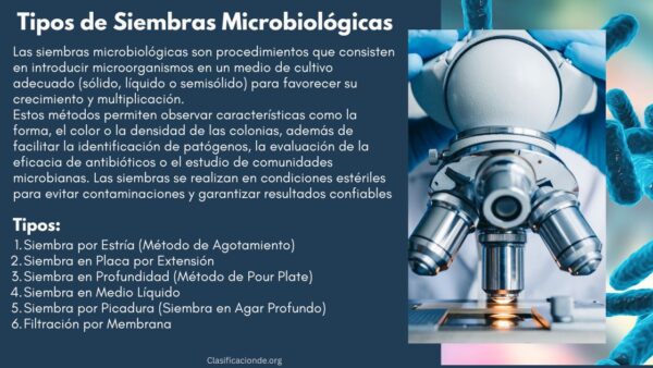 Tipos de Siembras Microbiológicas
