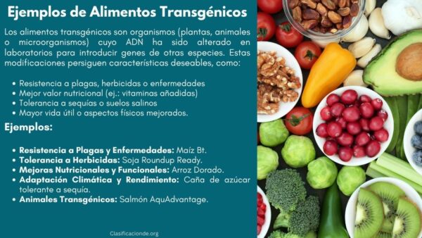 Ejemplos de Alimentos Transgénicos