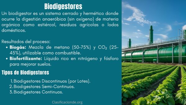Tipos de Biodigestores