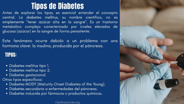 Tipos de Diabetes