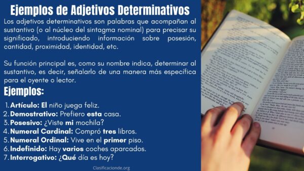 Ejemplos de Adjetivos Determinativos