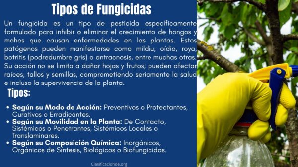 Tipos de Fungicidas