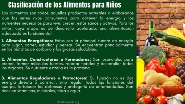 Clasificación de los Alimentos para Niños