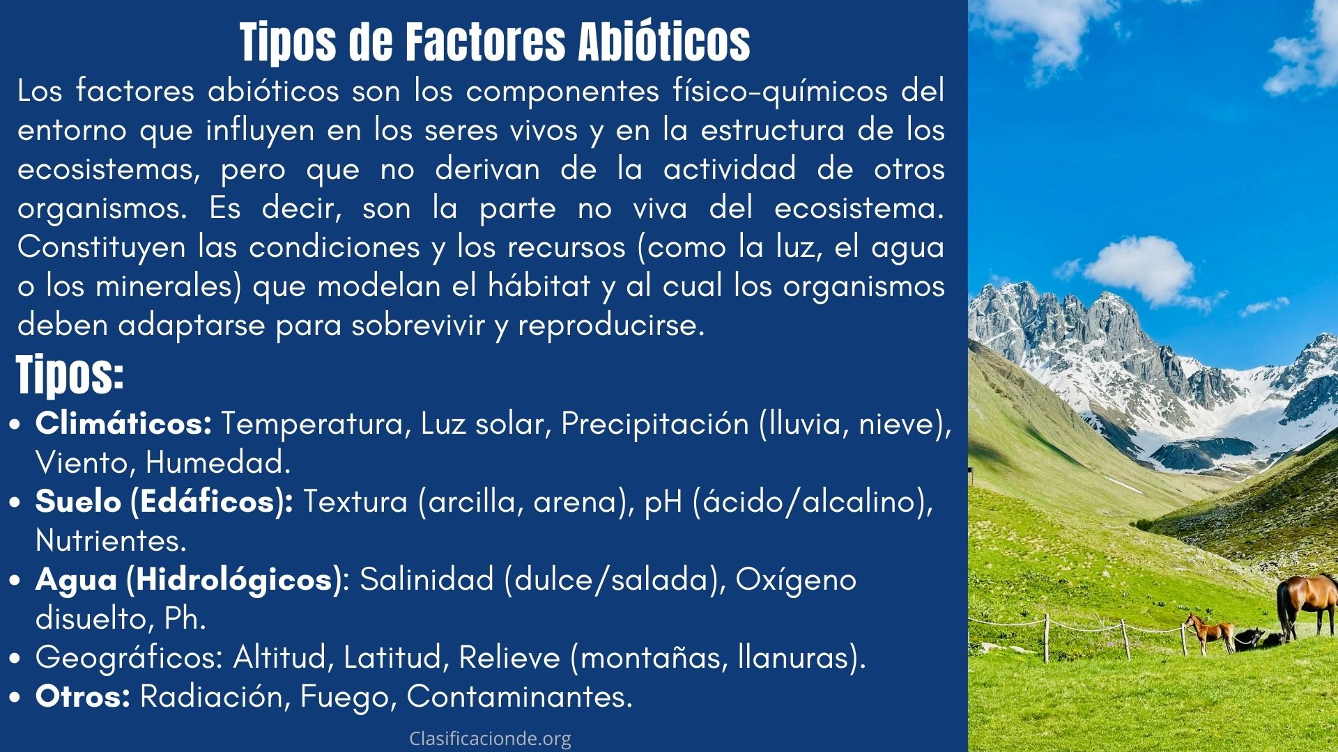 Tipos de Factores Abióticos - ¿Cómo se clasifican?