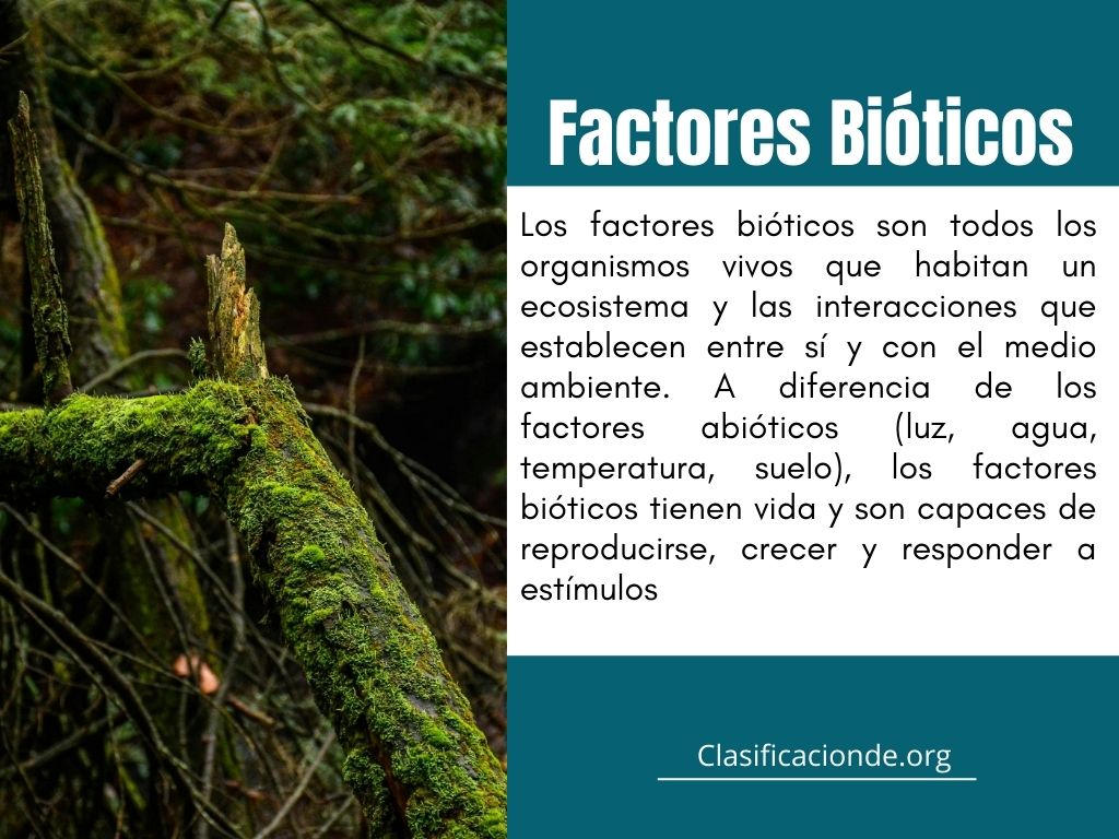 Tipos de Factores Bióticos - ¿Cómo se clasifican?