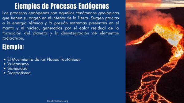 Ejemplos de Procesos Endógenos