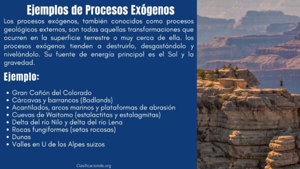 Ejemplos de Procesos Exógenos