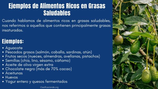 Ejemplos de Alimentos Ricos en Grasas Saludables
