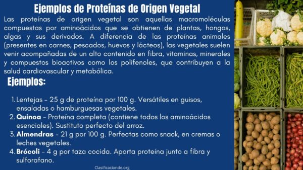 Ejemplos de Proteínas de Origen Vegetal