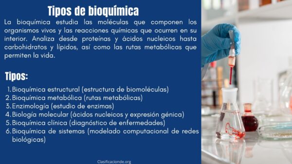 Tipos de bioquímica