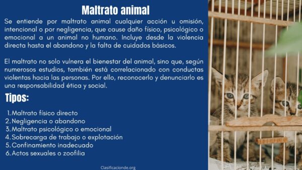 Tipos de maltrato animal