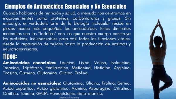 Ejemplos de Aminoácidos Esenciales y No Esenciales